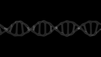 Linienstruktur oder 3D-DNA-Modell video