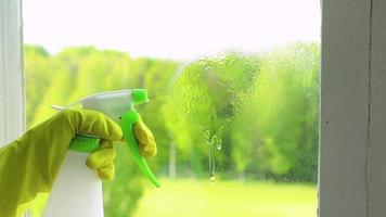lavagem de janelas e limpeza doméstica. conceito de trabalho doméstico. video