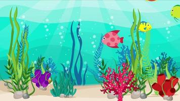 Colorful Fishes Are Living Under The Sea video