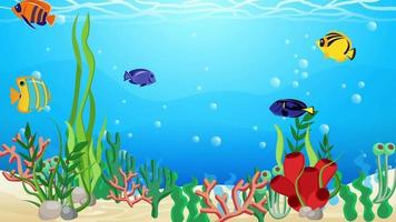 la belleza de debajo del mar y los peces video