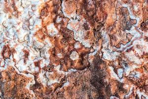 Natural Pattern Salty Rocks Surface photo