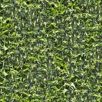 Seamless Green Grass Ground Texture photo