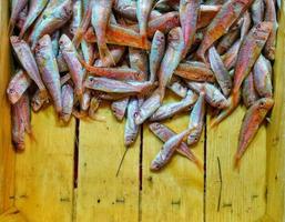 Comida para peces en un puesto de mercado de pescado. foto