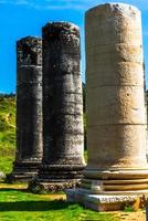 Ancient Historical Tourism Place Sardes Artemis photo