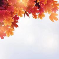 Autumn natural background template with falling leaves vector