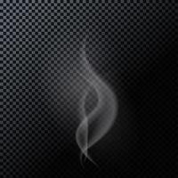 Naturalistic Smoke Isolated on Dark Background. Vector Illustrat