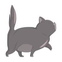 Realistic dark cat walking on a white background - Vector