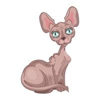 Realistic light sphinx cat sitting on a white background - Vector