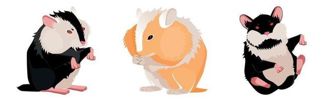 Three realistic hamsters on a white background - Vector