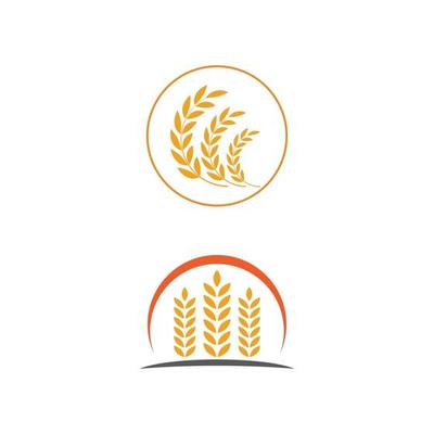 Wheat Logo Vector Art, Icons, and Graphics for Free Download