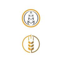 Wheat Logo Template vector symbol nature