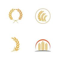 Wheat Logo Template vector symbol nature