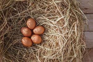 Huevos de gallina en un nido de pollo sobre paja de arroz foto