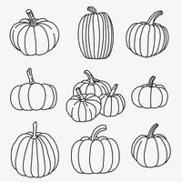 Doodle freehand sketch drawing of pumpkin vegetable set