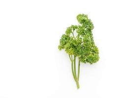 Fresh Parsley on white photo