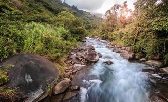 Mountain stream in Costa Rican forest photo