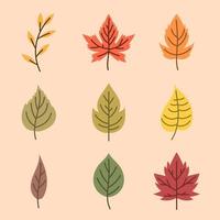 colección de hojas de otoño vector