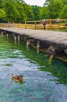 patos peces agua turquesa parque nacional de los lagos de plitvice croacia.