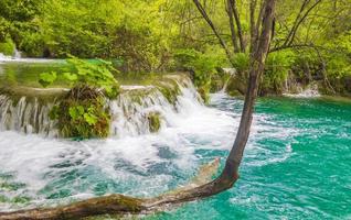 Parque nacional de los lagos de plitvice cascada agua verde turquesa croacia.