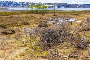 Vavatn lake panorama landscape boulders mountains Hemsedal Norway. photo