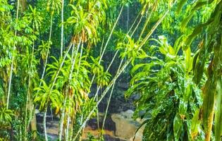 lluvia monzónica cascada de alquitrán nim jardín mágico secreto koh samui. foto