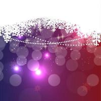 Abstract Beauty Christmas and New Year Background. vector