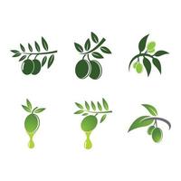 Olive logo images illustration vector