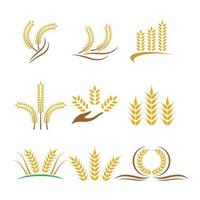 imagenes de trigo vector