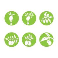 Ilustración de imágenes de logotipo de oliva vector
