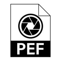 diseño plano moderno del icono de archivo pef para web vector