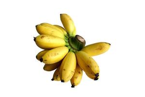 plátano sobre fondo blanco foto