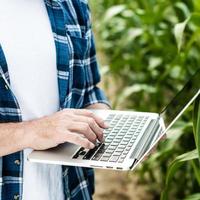 Farmer inspecting corn field summer sunny day photo