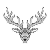 Deer head with horns vector