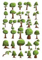 Seth trees from different climatic zones on a white background vector