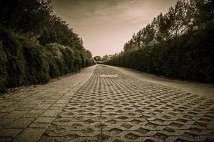 Sepia-colored walkway in the park