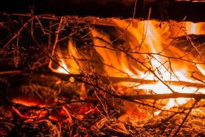 Close up of a fire with twigs photo