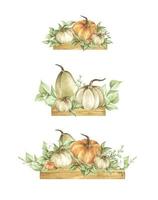 Watercolor pumpkins set. Autumn decoration floral design. vector