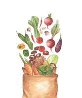 Full paper bag of different vegetables. Watercolor illustration. vector