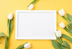 tulips on yellow background with a blank frame photo