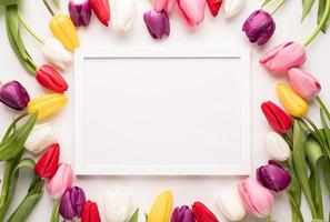 White frame with colorful spring tulips top view over white background photo