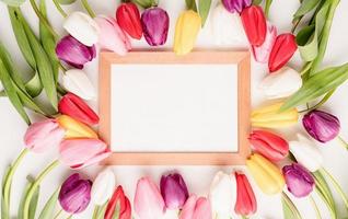 Wooden frame with colorful spring tulips top view photo