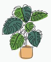 Simplicity monstera plant freehand continuous line drawing vector