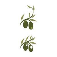 olive icon vector illustration