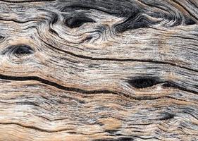 Abstract texture on surface of old wooden board photo