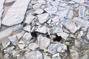 broken ice floe covered with snow with a textured surface photo