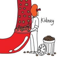 metaphor function of human kidney to filter wastes vector