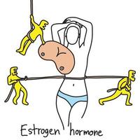 metáfora de la hormona del estrógeno hace que la mujer avispa cintura y pecho grande vector