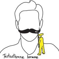 metaphor function of testosterone is to grow facial hair vector