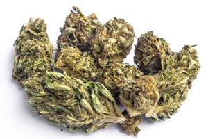 Flores de marihuana legal sobre fondo simple foto
