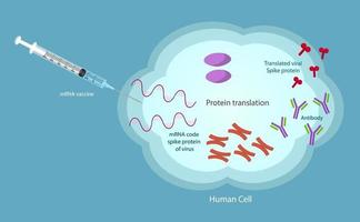 textura de vector de vacuna mrna sars-cov-2.